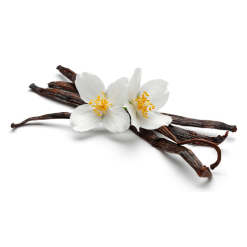 Vanilla (Hangsen) 10ml